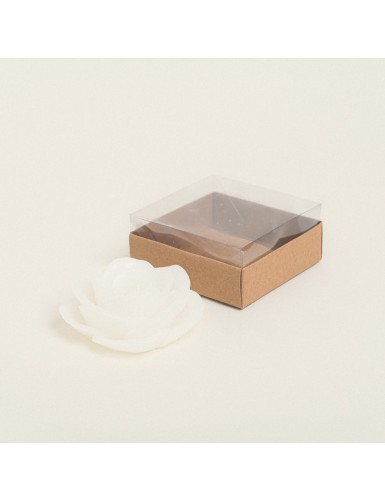 Beauty Home ΚΕΡΙ ΤΡΙΑΝΤΑΦΥΛΛΟ ΜΕ ΚΟΥΤΑΚΙ 9 x 9 cm