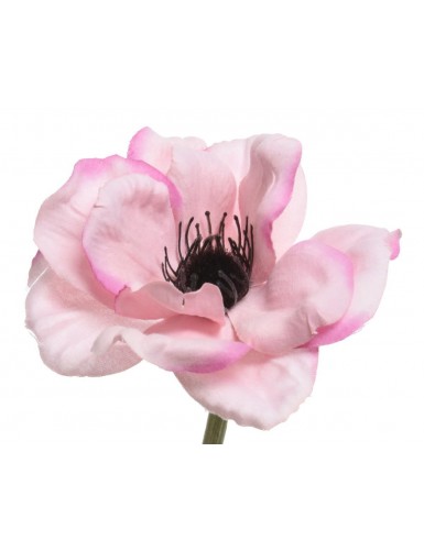 Beauty Home ΑΝΑΕΜΩΝΗ 57 CM