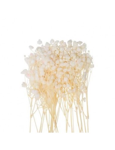 Beauty Home MINI ΓΥΨΟΦΙΛΗ 20 ΤΜΧ 5 CM