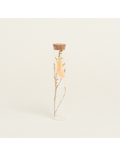 Beauty Home ΓΥΑΛΙΝΟΣ ΣΩΛΗΝΑΣ ΜΕ ΚΛΑΔΙΑ 3 x 18 cm