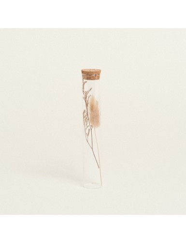 Beauty Home ΓΥΑΛΙΝΟΣ ΣΩΛΗΝΑΣ ΜΕ ΚΛΑΔΙΑ 3 x 18 cm