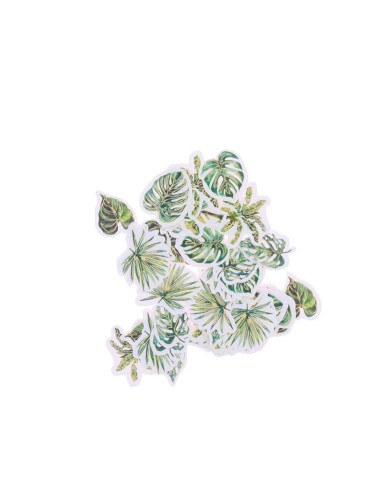 Beauty Home 100 κομφετί Coco Palm σε κρεμ, πράσινο και χρυσό