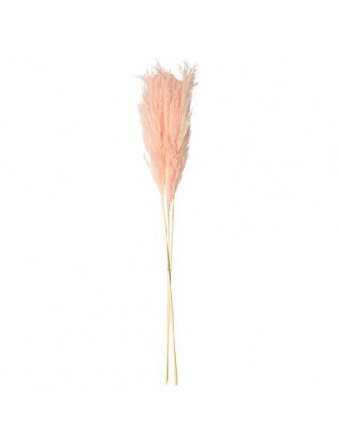 Beauty Home PAMPAS ΡΟΖ 80 CM 3 ΤΜΧ