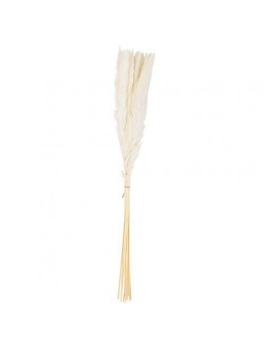 Beauty Home 15 ΚΛΑΔΙΑ ΦΤΕΡΑ ΛΕΥΚΑ 70 cm